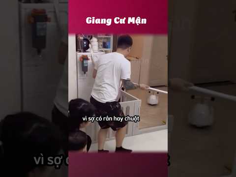 Con với chả