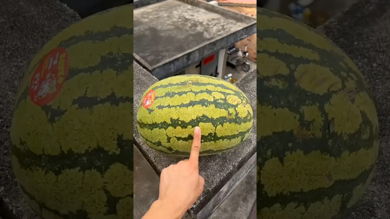 Fruit Throwing 🍉🍌