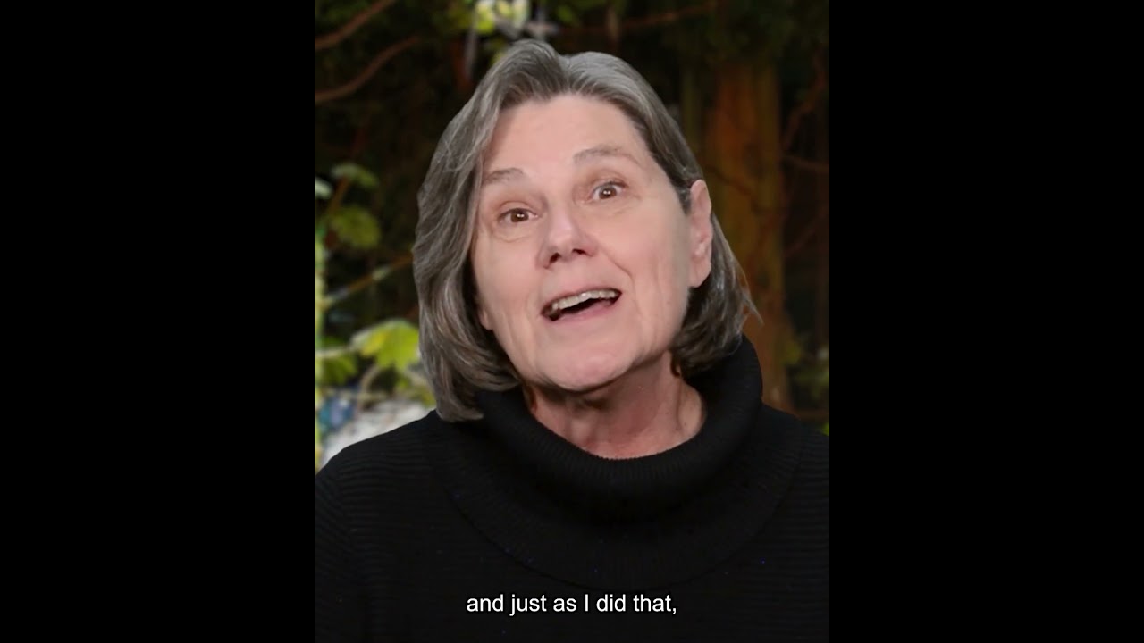 Stories From the Field: Dictator