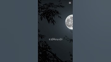 سورة الإنسان مع الشيخ محمد اللحيدان