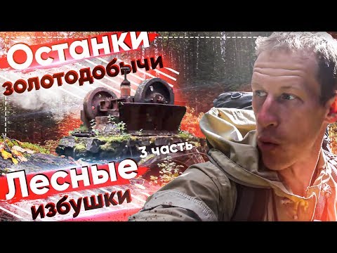 видео: ОСТАНКИ ЗОЛОТОДОБЫЧИ В ЛЕСУ, ПРОМЫСЛОВЫЕ ИЗБЫ, ПОХОД