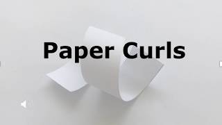paper curls 2
