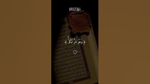 ما تيسر من سورة البقرة #قرآن #كريم #المصحف #اكسبلور #لايك #راحة_نفسية