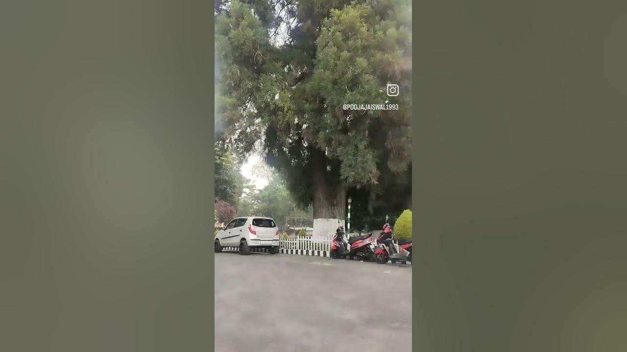 beauty-of-pinewood-hotel-shillong-l-meghalaya-tourism-l