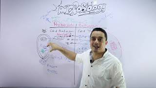 Itro 2 To Micro Biology 1
