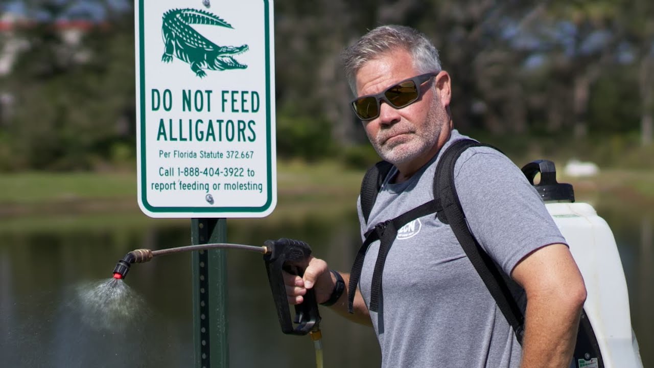 How To Spray Your Lawn With A Battery Sprayer Detailed Training YouTube