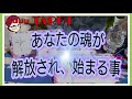#カードリーディング#直感タロット占い✨【あなたの魂が解放されて始まる事‼️】執着から解放され、成功に向かおう💪