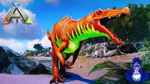 GOTTA GO FAST! NEW DUNGEON | Pits Of The Sloshed Marsh