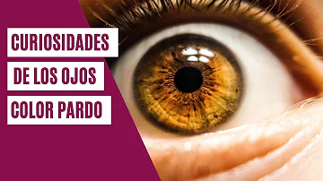 ¿Los ojos avellana son de dos colores?