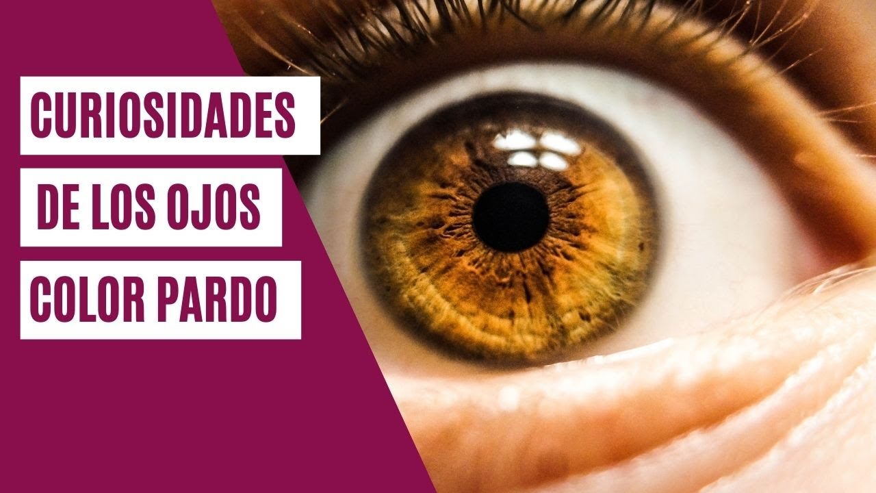 Personas de ojos pardos | Curiosidades del misterioso color de ojos  avellana - YouTube