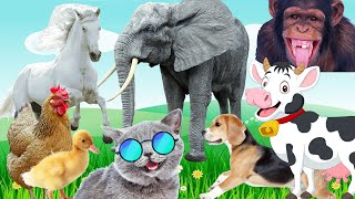 Funny Cute Animal Sounds: Elephant, Duck, Dog, Cow, Chicken, Horse, Cat - Part 2