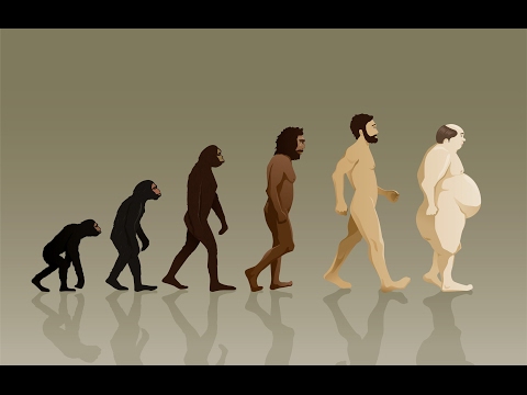 السمنة المرضية و متى يرشح المريض لعمليات السمنة د فراس اليوسف 