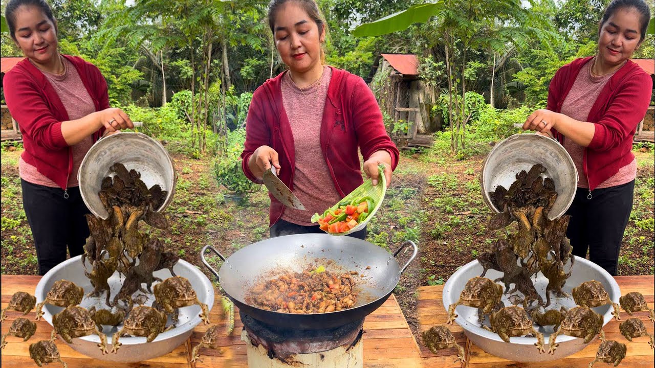 Delicious Toad, frog, bullfrog cook with country style #food Our daily ...