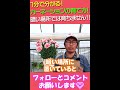母の日 カーネーションの育て方 #shorts 405 園芸 ガーデニング 初心者