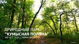 Конец лета в лесопарке Кумысная поляна. Август 2021. Саратов. Видео 3