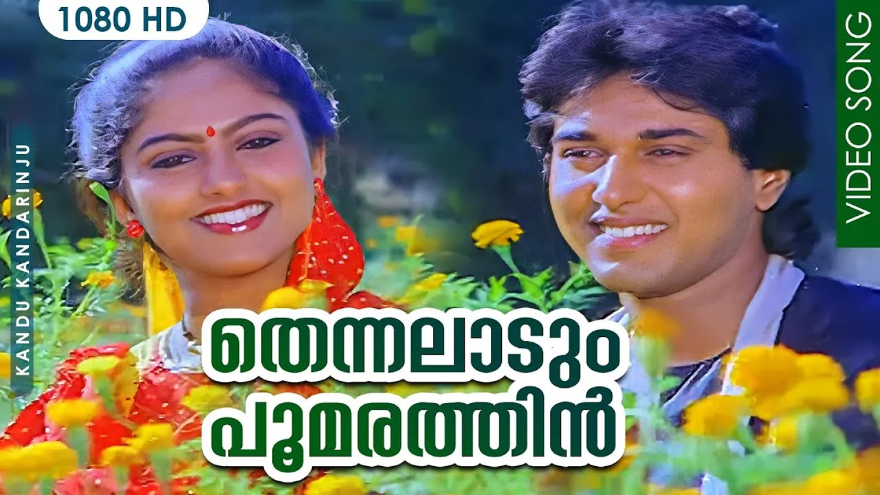 Thennalaadum Poomarathin  Malayalam Movie Song  KS Chithra  Rahman  Nadiamoidu  Shankar