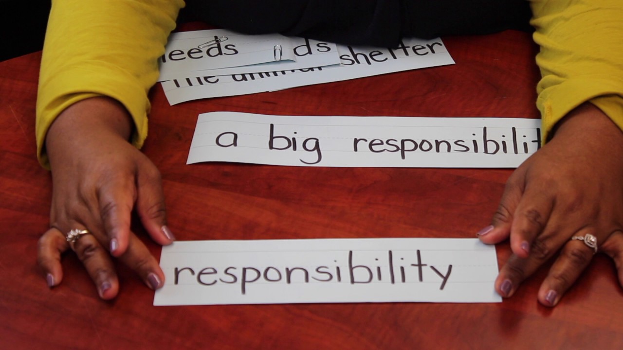 Teacher Led Small Groups - Educational Videos - YouTube