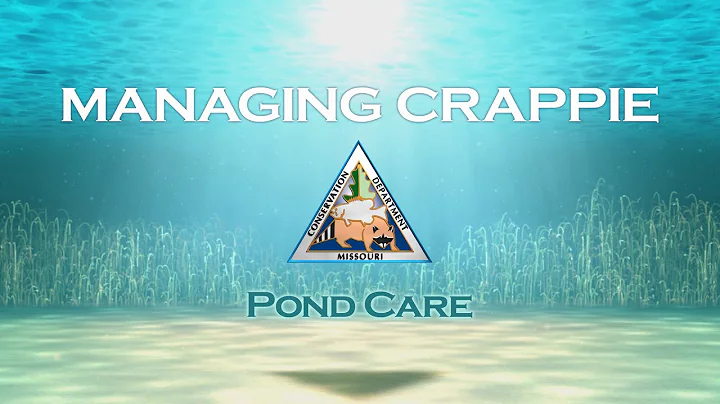 Pond Care 106: Managing Crappie