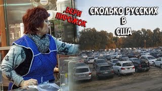 Сколько Русских в Америке? Вся правда