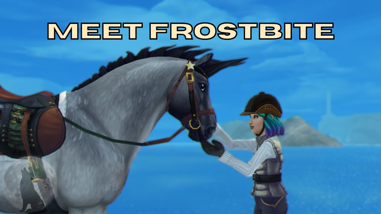 Meet Frostbite - Brinicle (North Swedish Horse) || Meet The Horses || Star Stable Online
