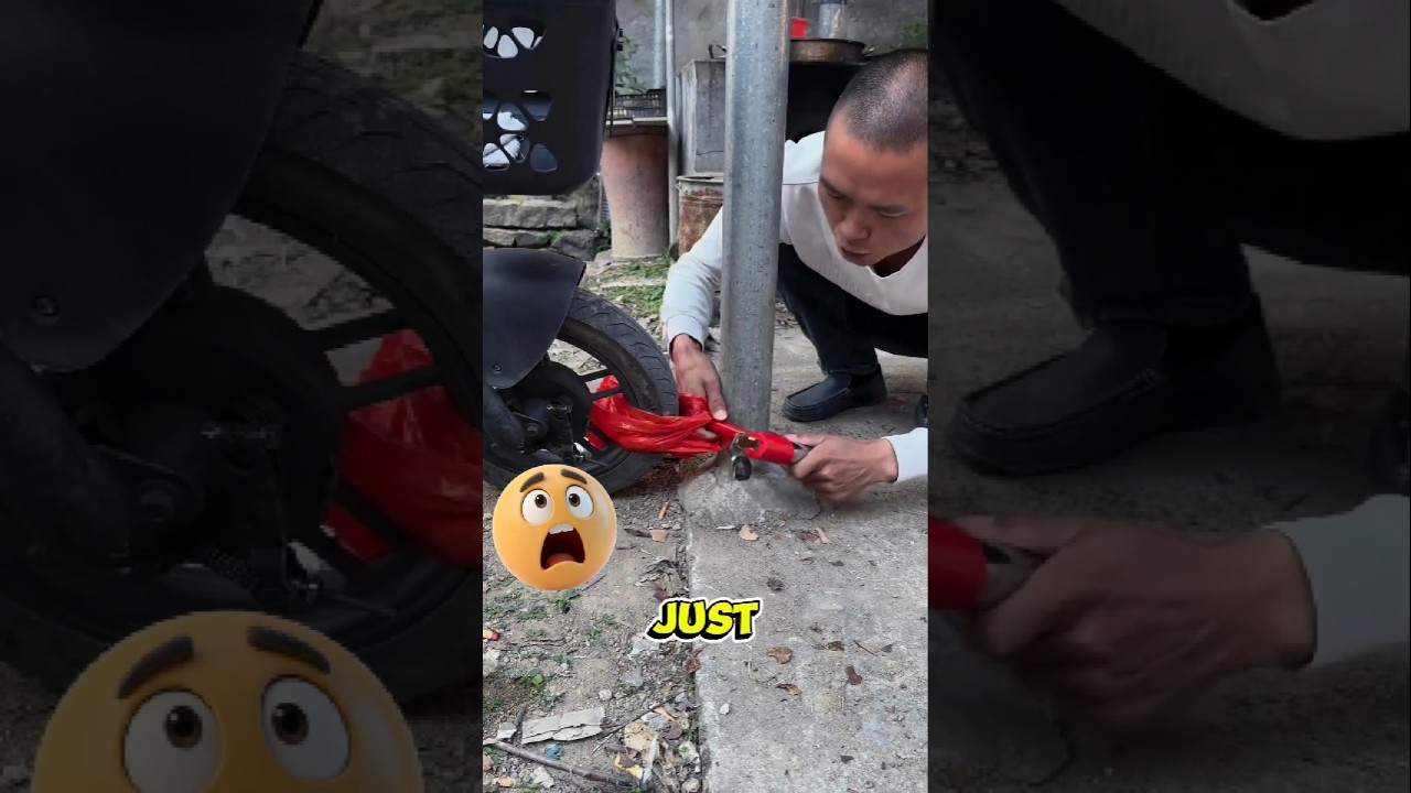 Even the Thief Was Confused