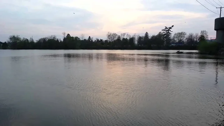 The River Driver - Folk Song Cover - Laura Fischer
