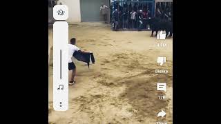 Salida Especticular Toro Bravo Viral Video