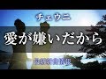 愛が嫌いだから/恋のドミノ - チェウニ