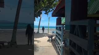 Botona Dahican Beach Resort In Mati, Davao Oriental