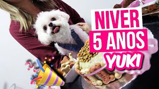 Oi pessoal, hoje é o niver da Yukinha, e o pessoal do Babypetstore ...