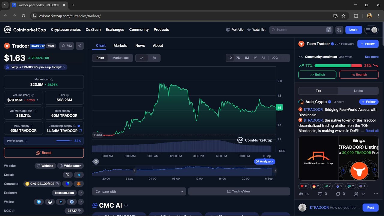 Is Tradoor ($TRADOOR) token legit or a scam