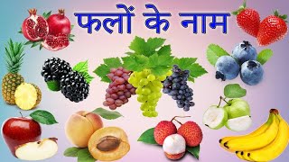 10 Fruits Name Learn Fruits Name In English Name Of Fruits Basicenglish Learning