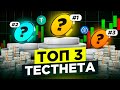 Заработай 1000$ с этих тестнетов. Лучшие тестнеты 2025 в крипте