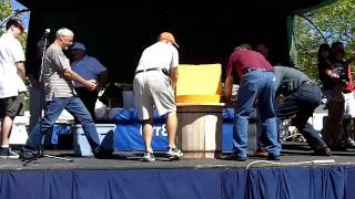Saturday Cheese Festival Highlights Arthur Illinois