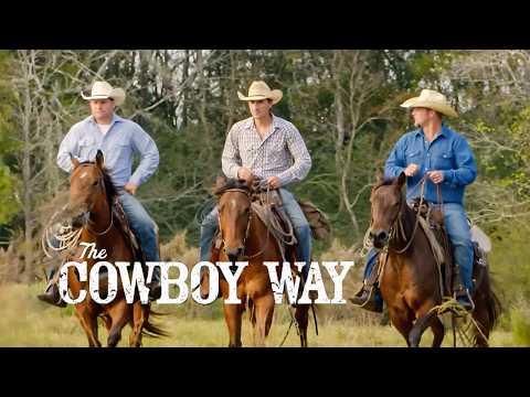Bold Gamble for the Cowboys