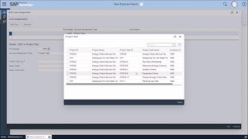 Chapter 8-3-3 Business Processes SAP Business ByDesign Pro Project Execution Project Expense Report