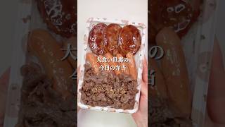 不器用さんでも作れる まっ茶っ茶弁当