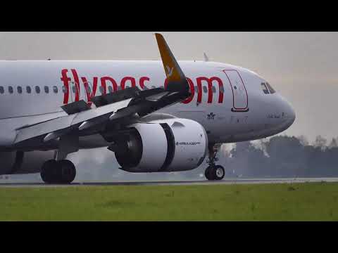 🔴 LIVE From Amsterdam Schiphol Airport! - HEAVY ARRIVALS