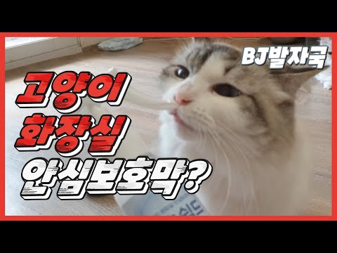 안심 보호막제품 리뷰 #고양이모래 #<strong>고양이화장실</strong>