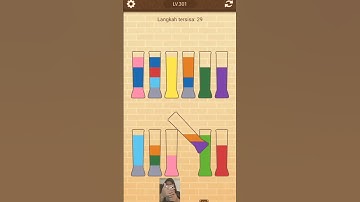 New Water Sort Puzzle Level 301