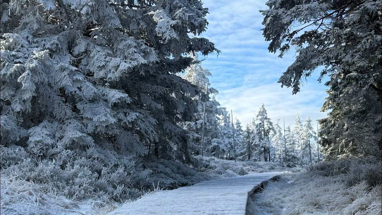 Jesionki i Svycarna.