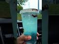 WORLDS SPICIEST SPRITE | more on TikTok #shorts #seansoko #tiktok #sprite #mcdonalds