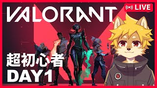 超初心者ヴァロ 1日目 /  #valorant  #ヴァロラント #バロラント   【べすれい】
