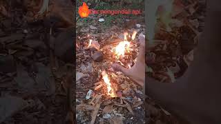 Avatar Pengendali Api