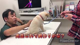 【第８話　初めての病院　頑張って診察受けられたかな？】