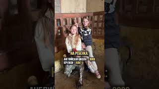 А как у вас?#жизньвиспании #ценывиспании #квартирависпании #испания2025 #испаниясегодня #ценынажизнь