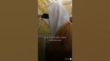 مقتطف من تلاوة فضيلة الشيخ #محمد_برهجي من فجر 19 ربيع الأول 1447هـ