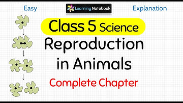 Reproduction in Animals (Complete Chapter)