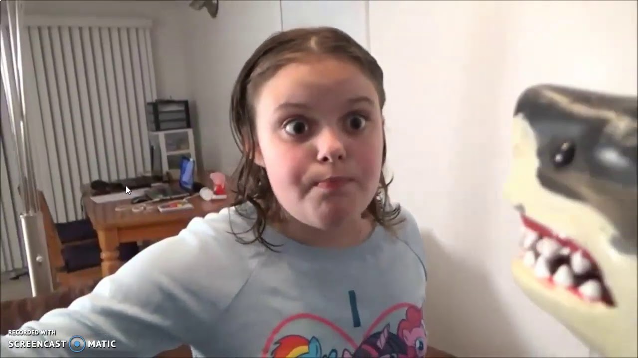 Pet Shark Attacks Baby Chicks Annabelle Victoria Save The Day Toy Freaks Poop Youtube Pet Shark Attacks Baby Chicks Annabelle Victoria Save The Day Toy Freaks Poop Youtube