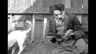 1918 - Charlie Chaplin - A Dog's Life-3.avi